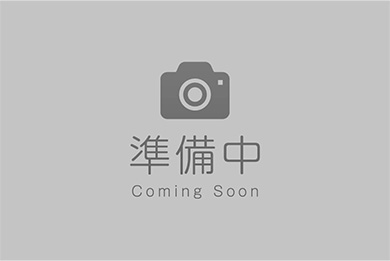 記事タイトル